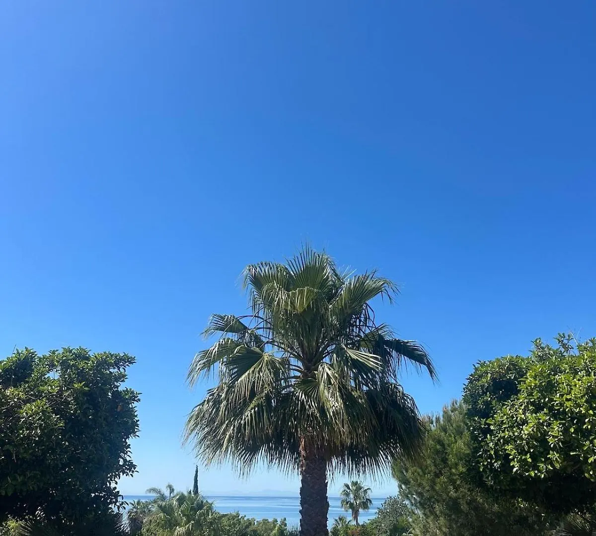 אסטפונה Renovated Sea View Apt 150M From El Cristo Beach 0*,
